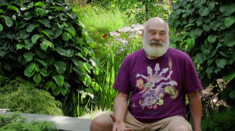 Why do mushrooms produce molecules
