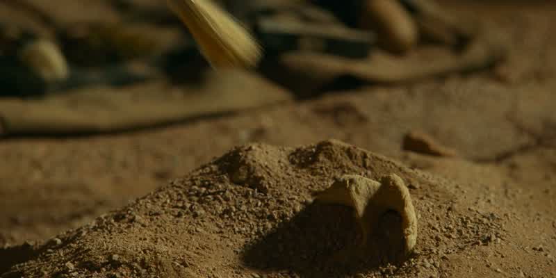 Why do we dig?
