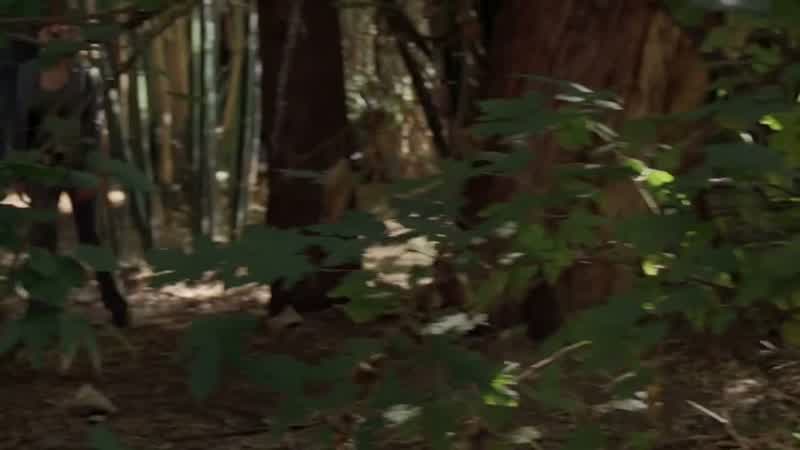 Why do you think he's here?