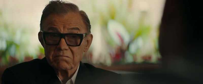 Why does David still want to write a book about Meyer Lansky?