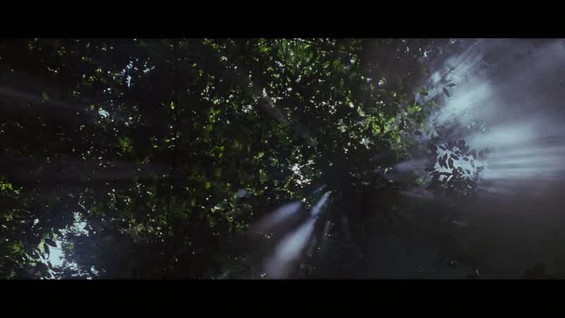 Why does nature vie with itself?