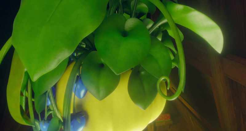Why does it work? Couldn't tell you. Where does it come from? This plant