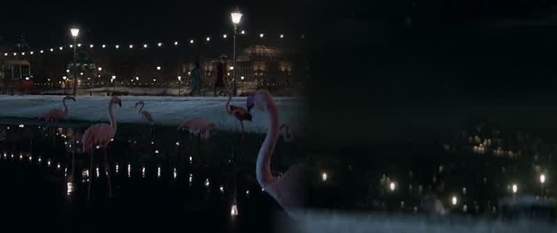 Why don t they fly awayI don t know Perhaps they haven t thought of itYou re kidding No I m seriousThat s the thing about flamingosThey need someone to show em the way