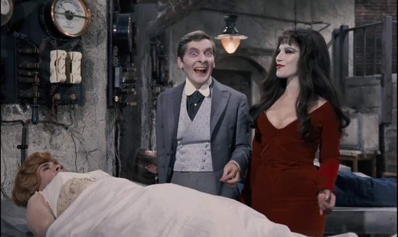 Why don't we do what they did to your friend Dracula