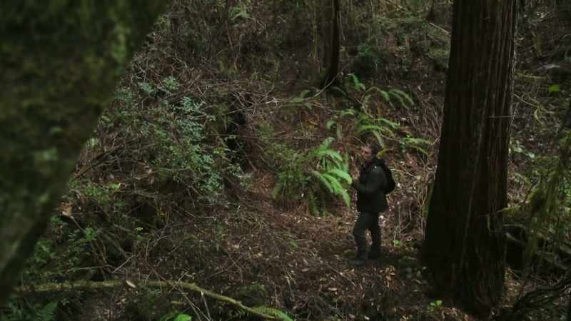 Why don't you make your way up here? We can continue this area together