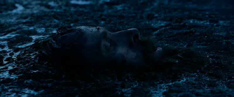 Who are youWho are youI'm a shepherdI thought you were a generalI need a generalWhyTo fightWhy elseFight whoFor whatI think you knowI think you should go and seewhat's happening to your people nowHe