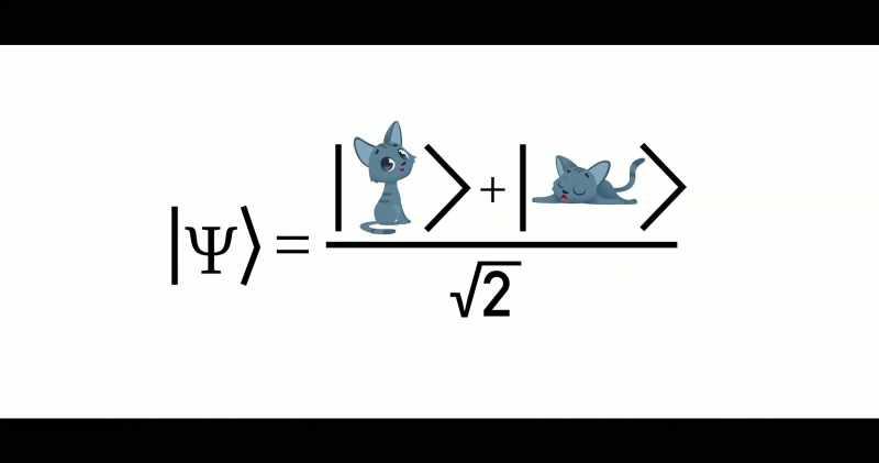 Why, for example, an actual cat cannot be both dead and alive?