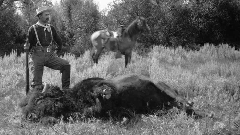 Why, in your hurry to subdue and utilize Nature