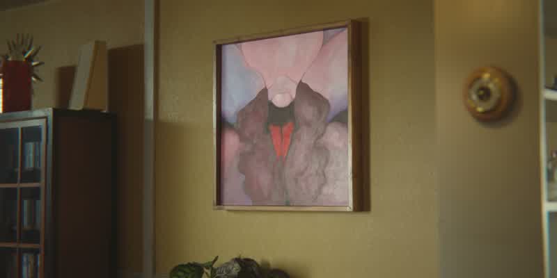 Why is there a minge on your wall Where?