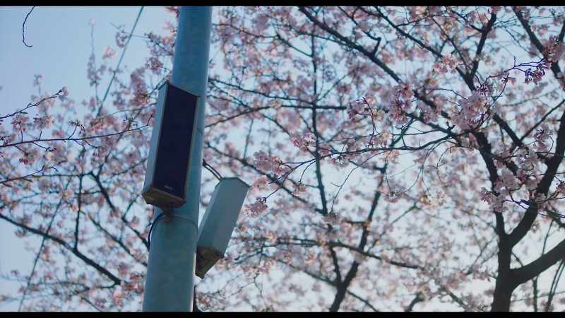 �� Why is it so hard to start the day ♪