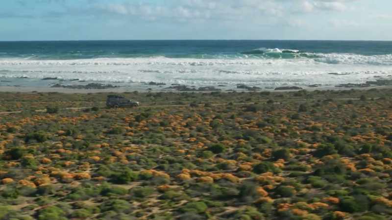 Why is it illegal to dig up beaches in Australia