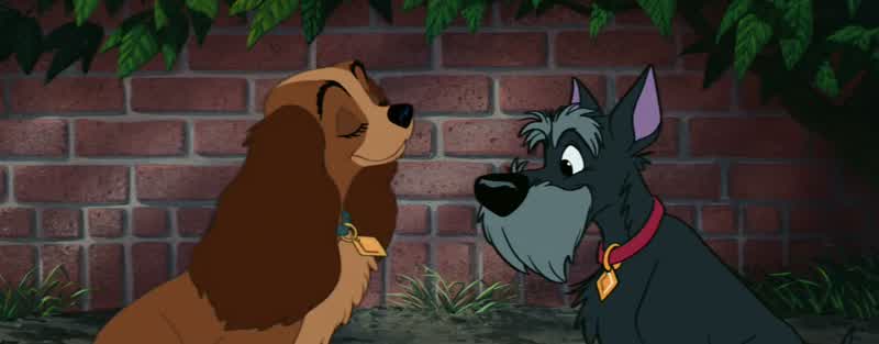 Why, lassie