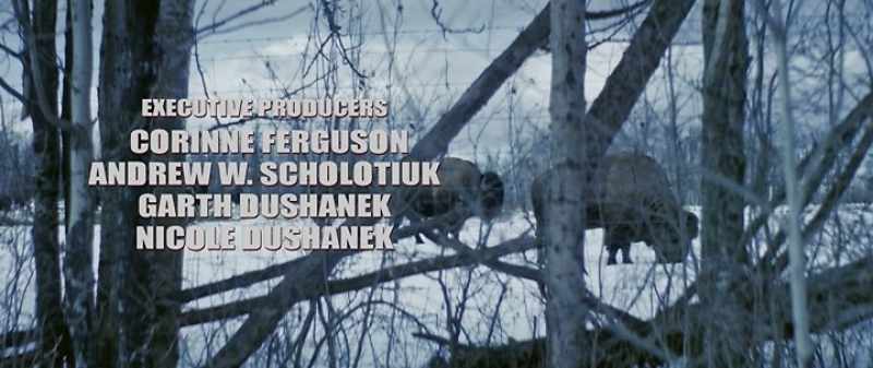Why we like physical media so much