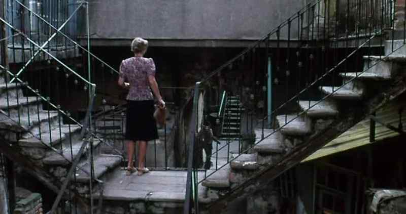 Why not learn about things? The reality?