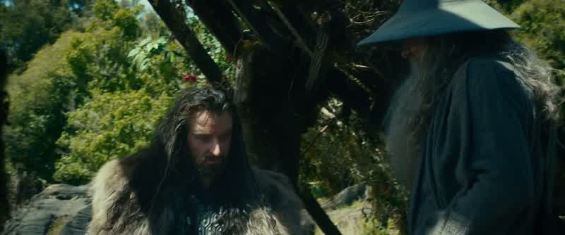 Why not The Elves could help usWe could get food rest adviceTHORIN I do not need their advice GANDALF We have a mapthat we cannot read Lord Elrond could help usHelpA dragon attacks EreborWhat help