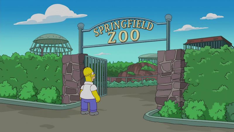 Why on earth would a child go to the zoo?