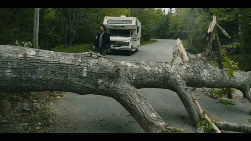 Why is there a tree in the middle of the road?