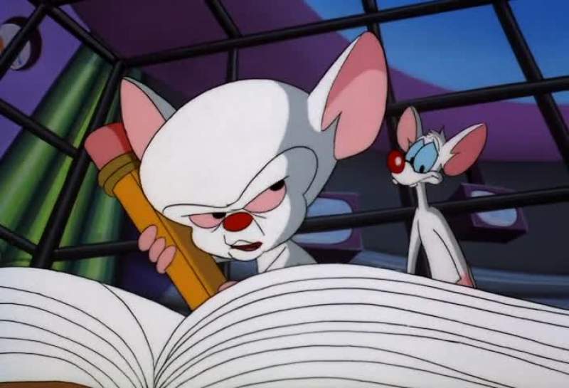 Why What we going to do tomorrow night brain