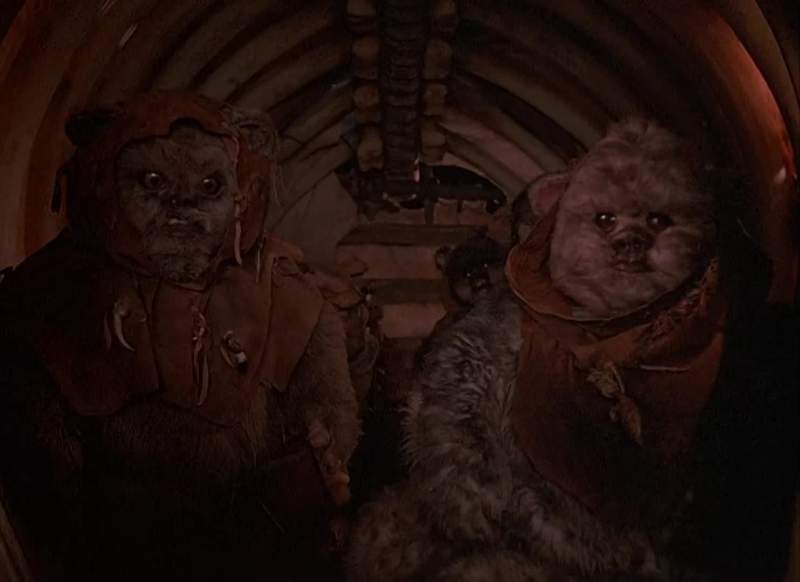 Wicket take care of Cindel