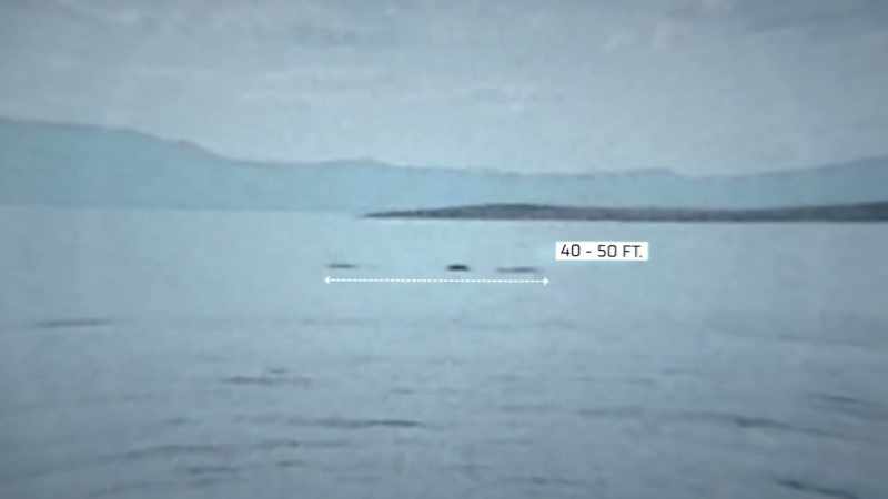 Wide as the canoe and three to four times longer