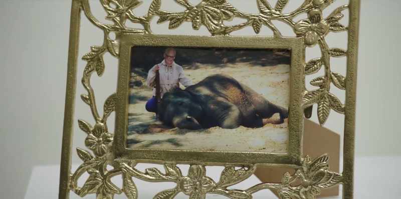 Wilbur was a big shell guy, natural gas, so