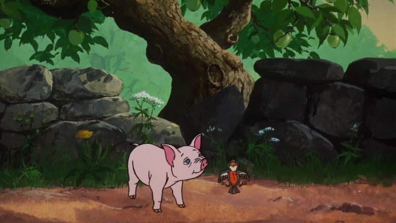 Wilbur was what farmers call a spring pig