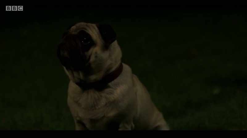 WILBUR WHIMPERS