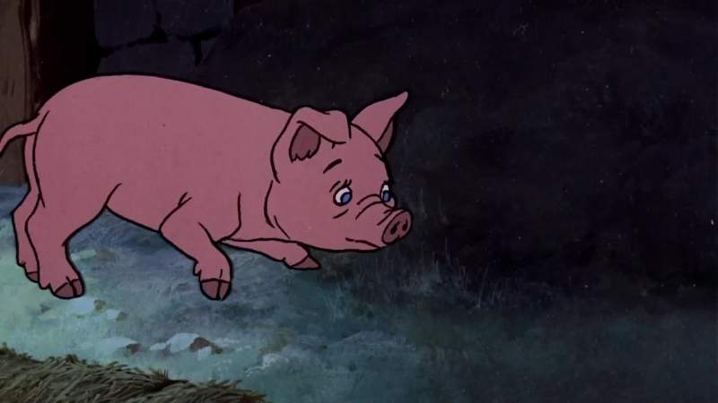Wilbur's stomach was empty