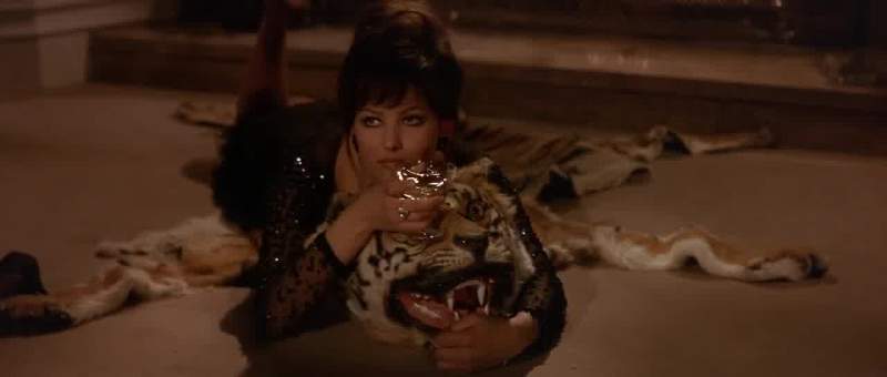 Wild animal hunt