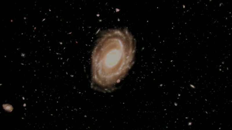 Wild, and primitive shoals of stars