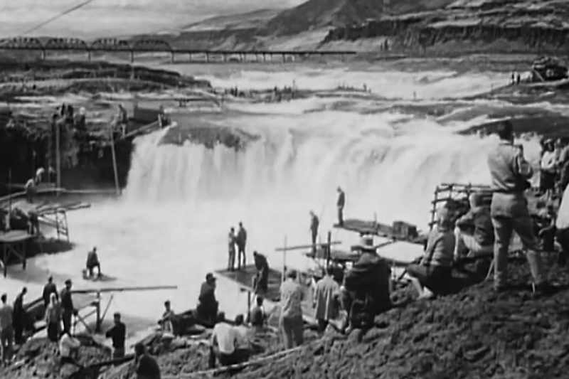 Wild salmon represent something that is really important
