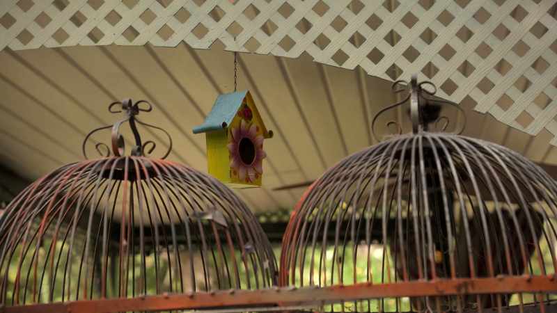 Will you behave for me? -[bird squawking]