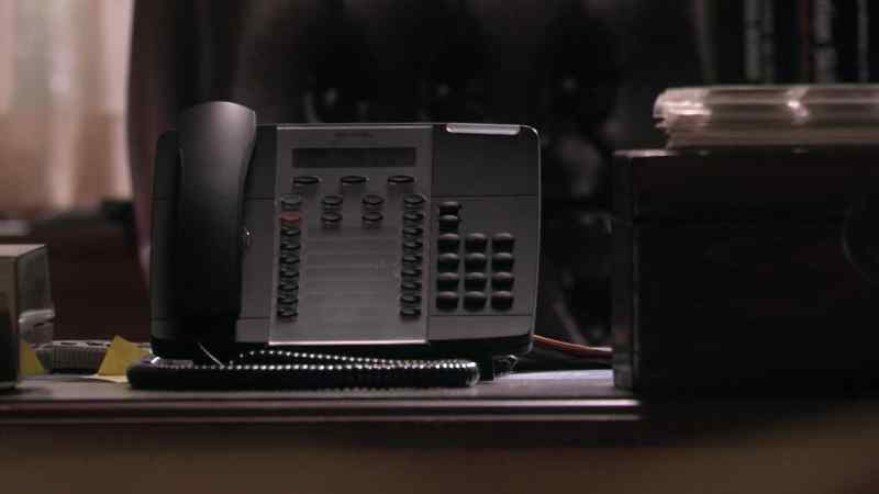 Will you excuse me for a moment? I have to take this call
