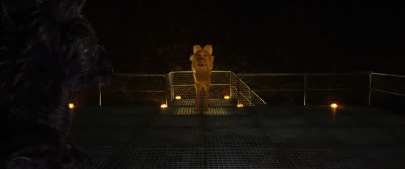 Will you help him The Little PilotWhy should IBecause he's a 12 year old boyDogs love those