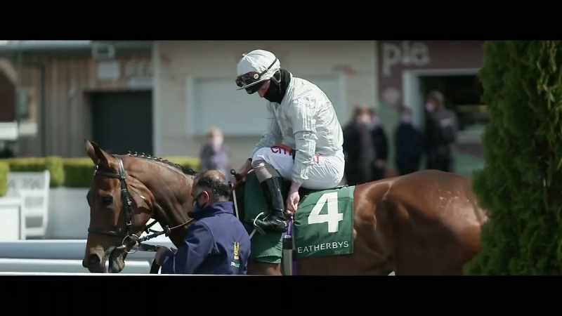 Will we see a horse stake a claim