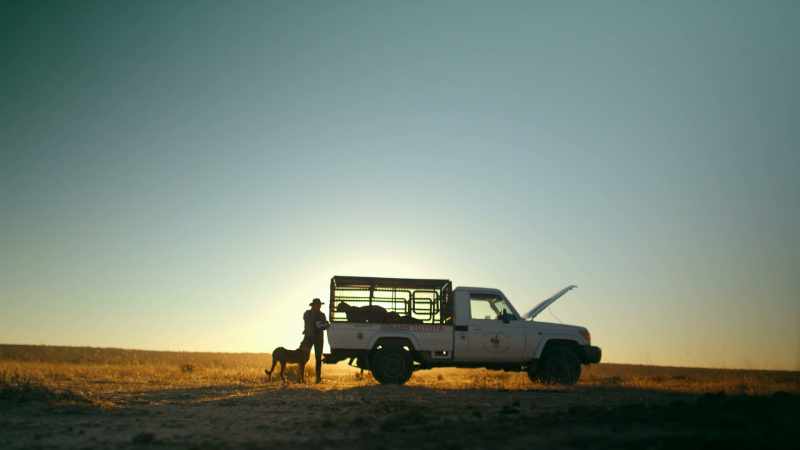 WILL SMITH: To catch a Springbok, the cheetah needs to be even faster