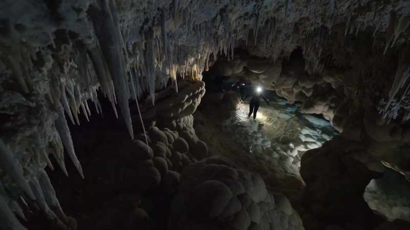 WILL SMITH: You'd imagine these deep dark caves to be lifeless