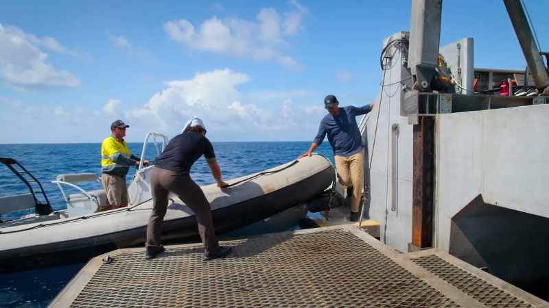 WILL: The shark with the tracker is on the move