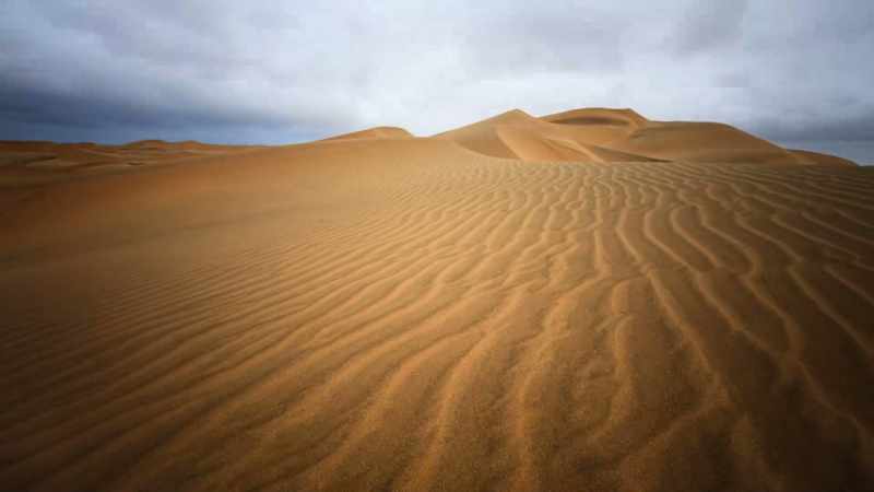 WILL: The whole desert is in motion right under our feet