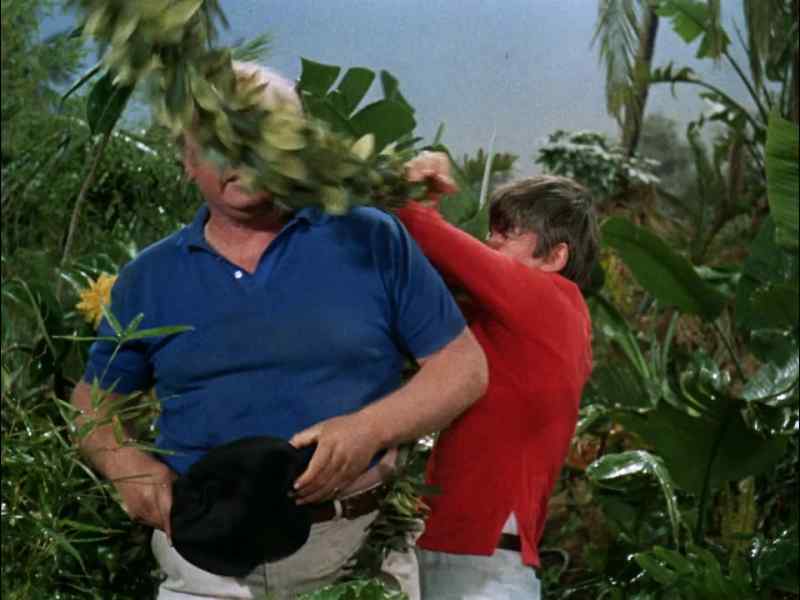 WILL YOU LEAVE THAT VINE ALONE, GILLIGAN?