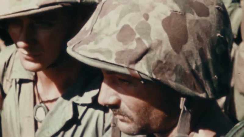 William Steele: BEFORE AN INVASION