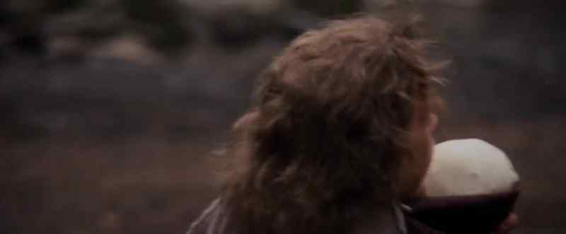 Willow? The wand