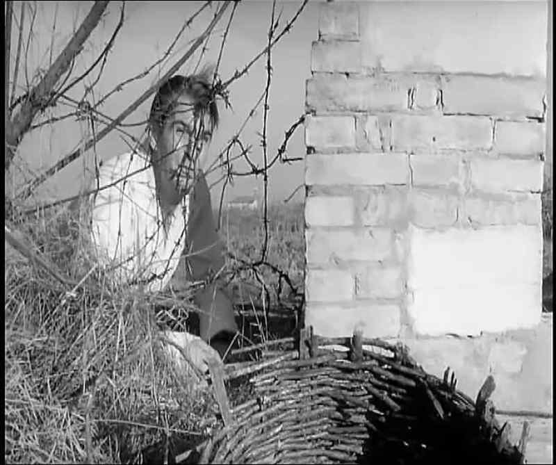 �� Willow weep for me... &