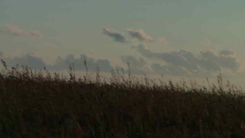 (wind blowing)