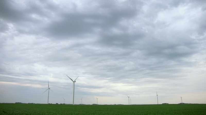 Wind energy has become a real powerhouse