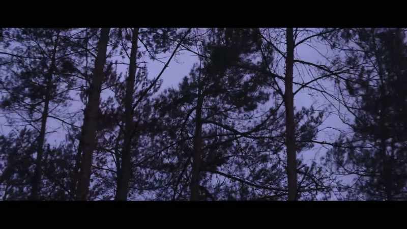 (WIND HOWLS) - (LEAVES RUSTLE)