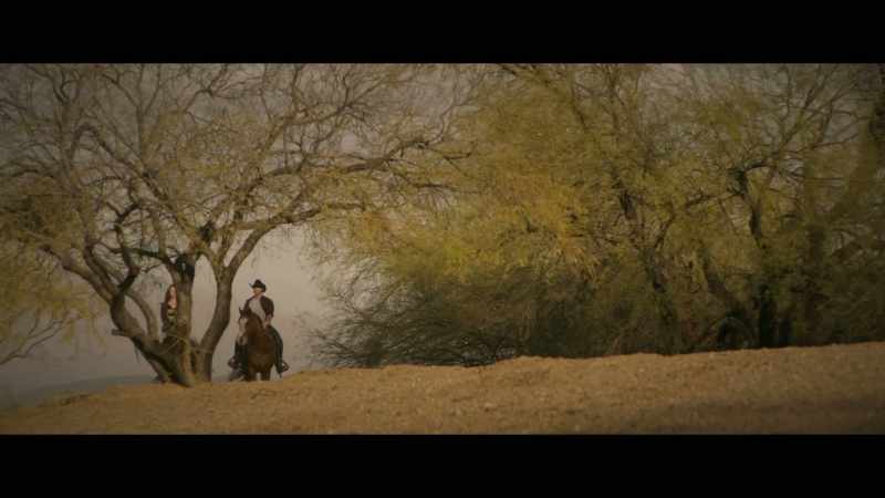 (wind in trees)