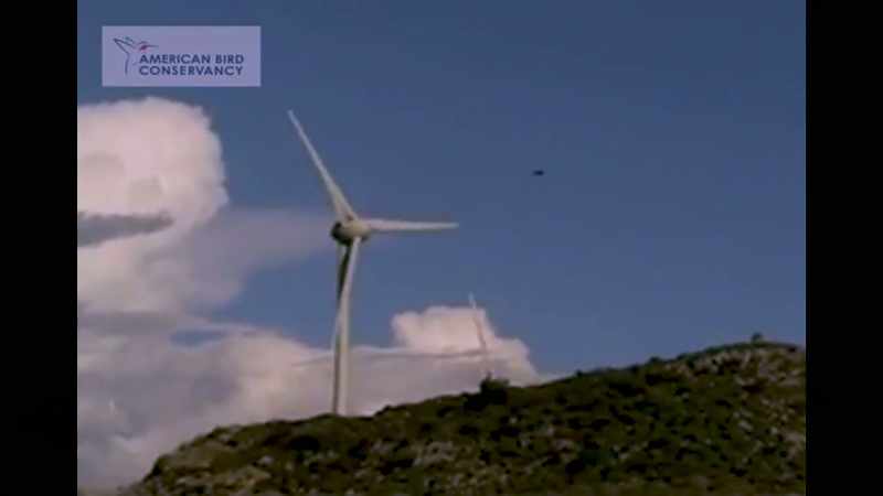 Wind power, the energy of the future
