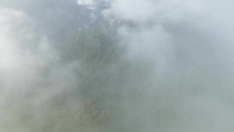WIND WHISTLES