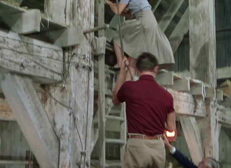 Wingait: Get back up there!